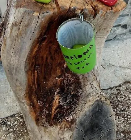 Casa Cactus T&c Дом отдыха *
