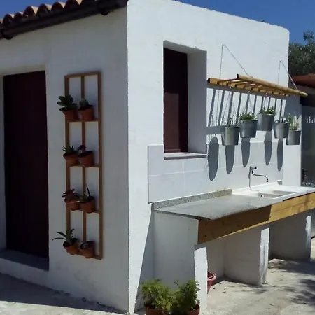 Casa Cactus T&c