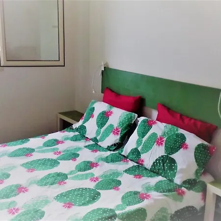 Casa Cactus T&c Дом отдыха