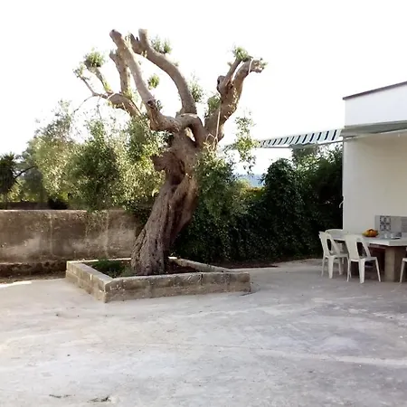 Casa Cactus T&c * Сиракузы